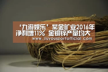 九游娱乐平台