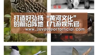 打造好弘扬“黄河文化”的前沿阵地【九游娱乐官方网站】(图1) 九游娱乐