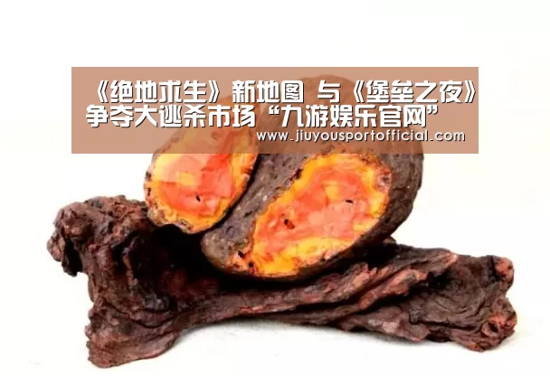 九游娱乐官网